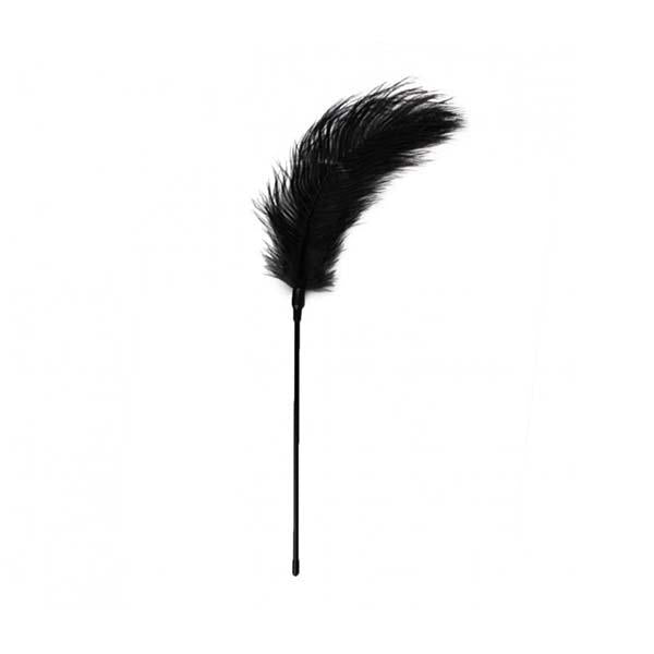 Fetish Feather Tickler