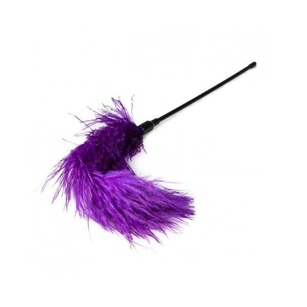 Fetish Feather Tickler
