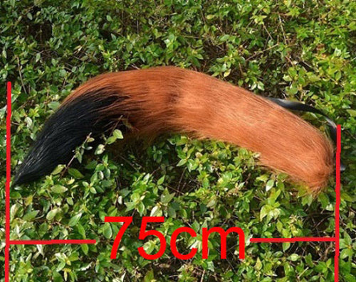 Japanese Anime Spice and Wolf Cosplay Props Holo
