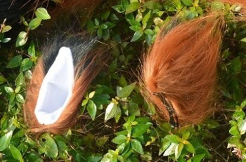 Japanese Anime Spice and Wolf Cosplay Props Holo
