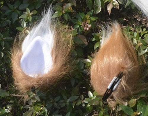 Japanese Anime Spice and Wolf Cosplay Props Holo