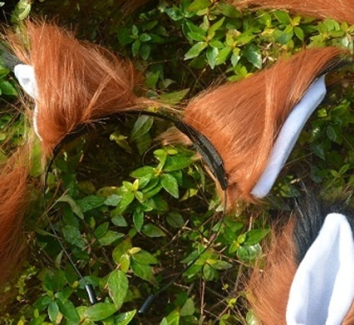 Japanese Anime Spice and Wolf Cosplay Props Holo