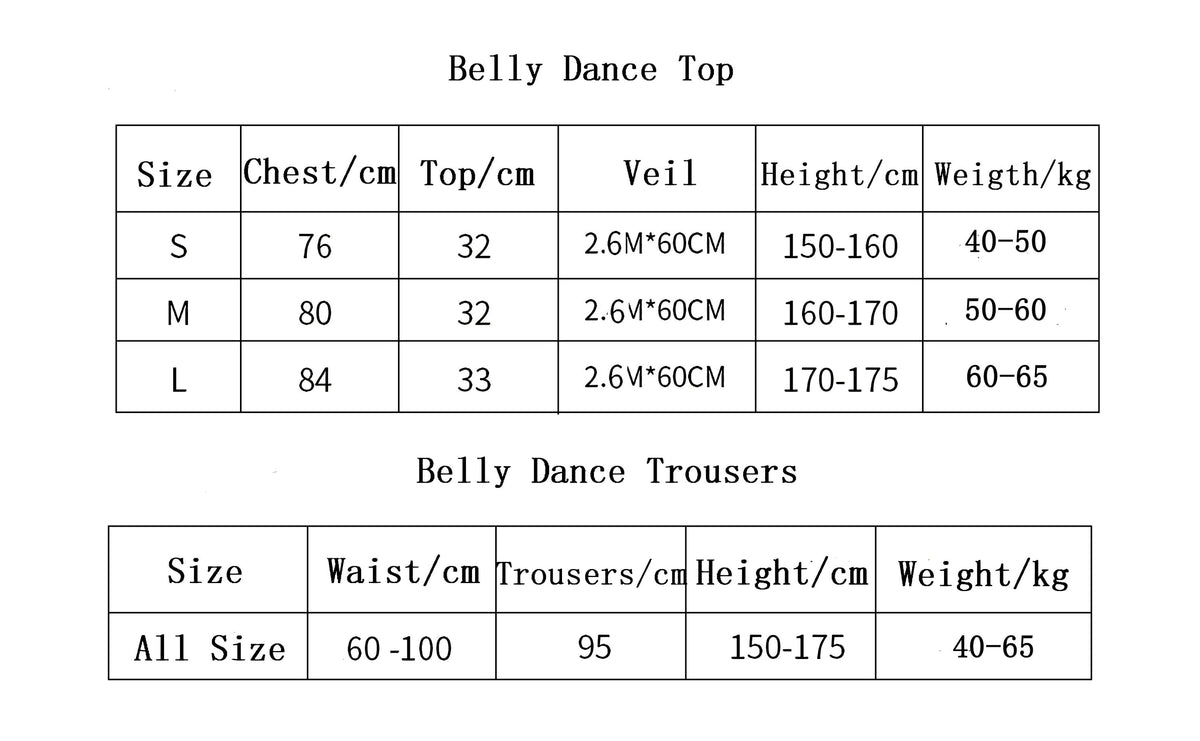 Belly Dance Outfit Indian Dance Jasmine Fancy Costume Party Cosplay