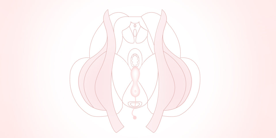 Kegelator Vibrating and Come-hither Kegel Exerciser