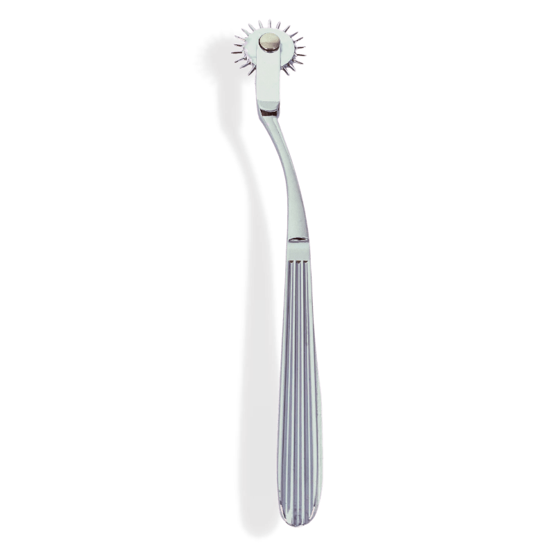 Terra- The Ultimate BDSM Pinwheel and Wartenberg Wheel